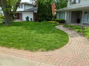 Brendan D.'s Lawn Mowing Service service result