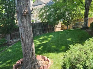 Marlow M.'s Lawn Service service result