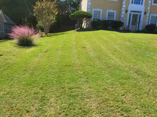 DβAndre M.'s Lawn Maintenance service result