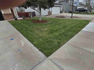 Claudine H.'s Grass Cutting service result