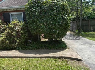Bush Trimming by Joe Lee Jr for Margaret M. in Richmond, VA