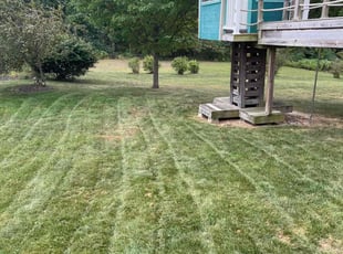 Ken M.'s Lawn Service service result