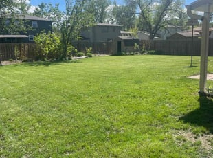 Dhana C.'s Grass Cutting service result