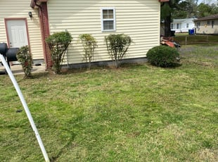 Bush Trimming by Larvelle Jackson for Christin J. in Suffolk, VA