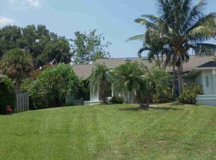 Marlene K.'s Lawn Mowing service result