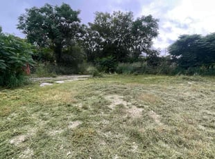 Cleanups by Mark Trevino for Todd W. in San Antonio, TX
