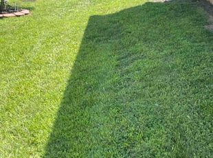 Patrick M.'s Lawn Care service result