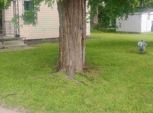 Carrie B.'s Lawn Mowing Service service result