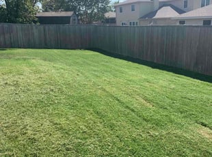 Talha H.'s Lawn Maintenance service result