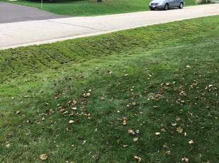 Cleanups by Terrance Davis for Matt V. in Brown Deer, WI