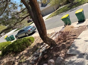 Cleanups by Joshua Hines for Erin K. in Centennial, CO