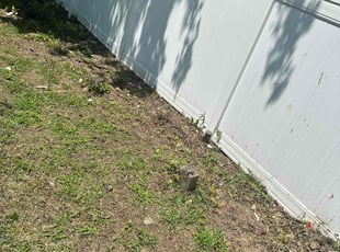 Cleanups by Bryce Barnes for Marie S. in West Haven, CT