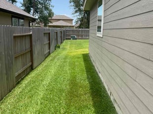 Cleanups by Blayke Elder for Bryce G. in Tomball, TX