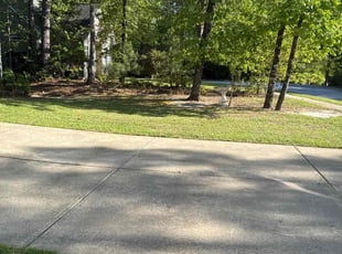 Desmon T.'s Lawn Service service result