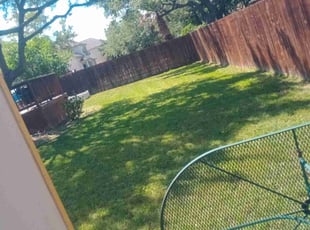 Sandra F.'s Lawn Mowing service result