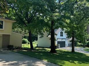 Jimmy C.'s Lawn Service service result