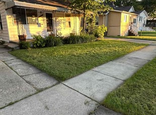 Daniel A.'s Lawn Service service result