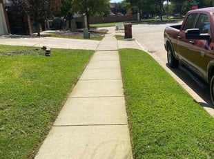 Michele S.'s Lawn Mowing service result