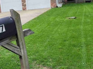 Matt H.'s Lawn Service service result