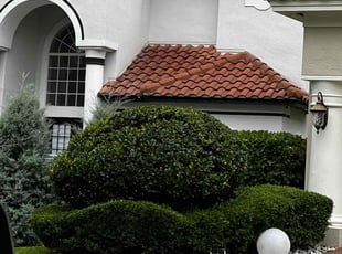 Bush Trimming by James Ramey for Gary W. in Davenport, FL
