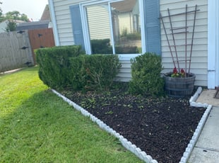 Bush Trimming by Taylor Dodson for Stevie K. in Virginia Beach, VA