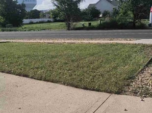 Bush Trimming by Ryan Nichols for Mckenzie D. in Westminster, CO