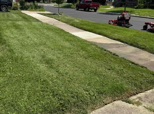 Devyn P.'s Lawn Service service result