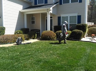 Bush Trimming by Adams Paiz for Robin D. in Matthews, NC