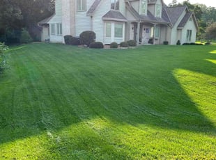 Gloria P.'s Lawn Mowing Service service result