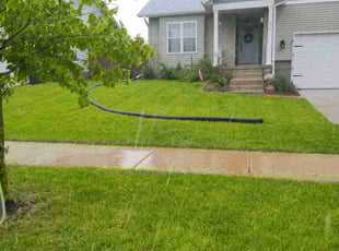Jennifer N.'s Lawn Mowing service result