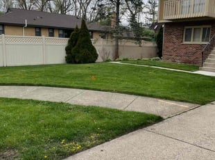 Sean B.'s Lawn Service service result