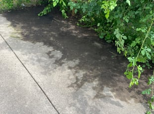Cleanups by James Sedlak for Milton B. in Kingston, PA