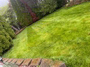 Grace L.'s Lawn Service service result