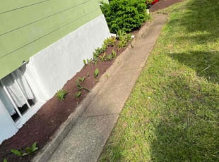 Weeding by Dimas Lopez for Candice M. in Baltimore, MD
