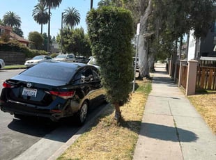 Bush Trimming by Fernando Gomez Rodriguez for Ada G. in Los Angeles, CA