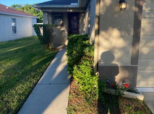 Bush Trimming by Corey Johnson for Christiana C. in Riverview, FL
