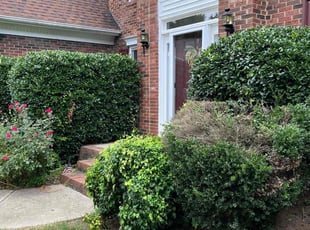 Bush Trimming by Brandon Rickett for Virginia R. in Charlotte, NC