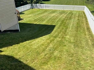 Andrea L.'s Lawn Service service result