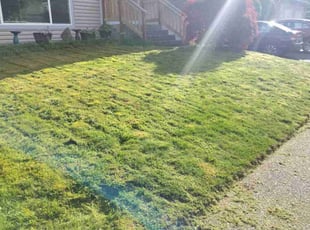 Margaret W.'s Lawn Mowing service result