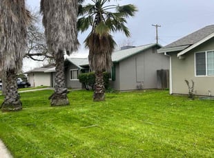 Cami S.'s Lawn Care service result