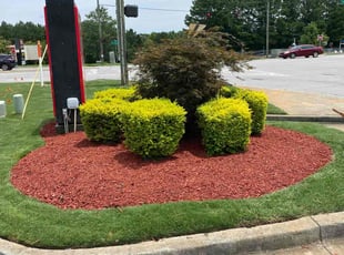 Mulching by Michael Long for Joshua K. in Suwanee, GA