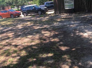 Cleanups by Charles Gulley for Jacob M. in Pensacola, FL