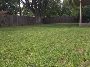 Chandler J.'s Lawn Care service result
