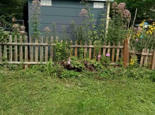 Cleanups by Kevin Rhyne for Kamal M. in Madison, WI