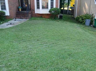 Bush Trimming by Joshua Walker for Octavius G. in Lithonia, GA