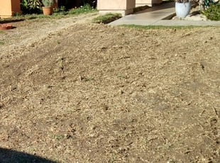 Cleanups by Jashua Parra for Christopher E. in Fontana, CA