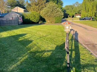 Chris F.'s Lawn Mowing service result