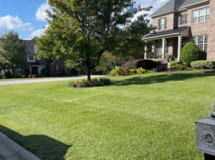 Ed S.'s Lawn Service service result