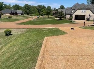 Jean W.'s Lawn Mowing service result
