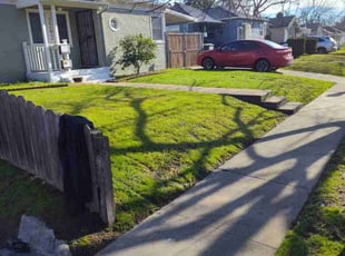 Lawrence G.'s Lawn Maintenance service result